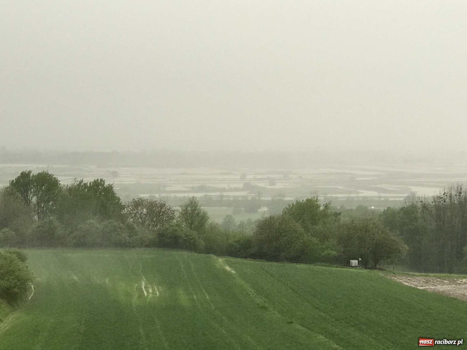 Zdjęcie w galerii na portalu naszraciborz.pl: Ponad 120 interwencji strażaków z powiatu raciborskiego. 81-latka uratowana z zalanej piwnicy wiadomości z regionu