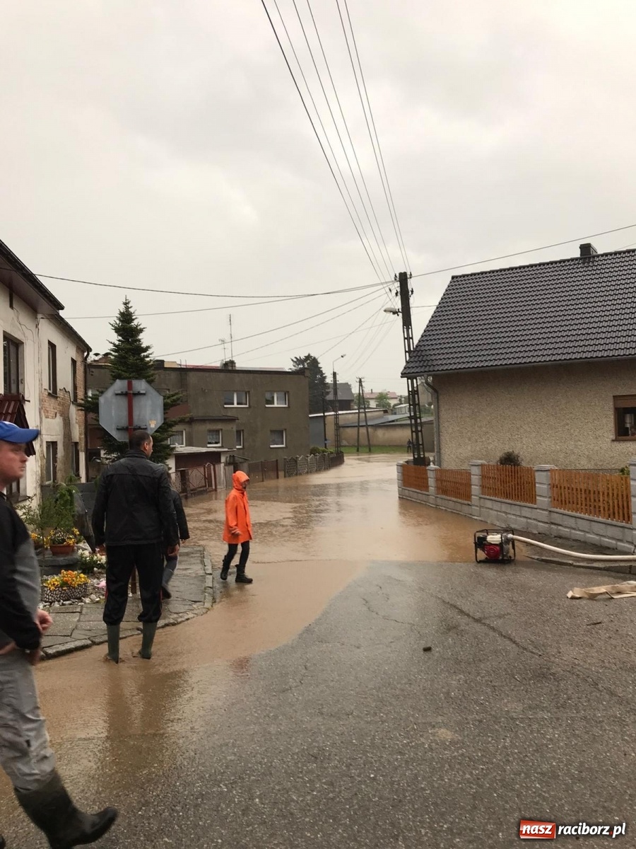 Zdjęcie w galerii na portalu naszraciborz.pl: Tworków-Nowa Wioska-Lubomia-Borucin. Nikt tu takiej wody nie widział! wiadomości z regionu