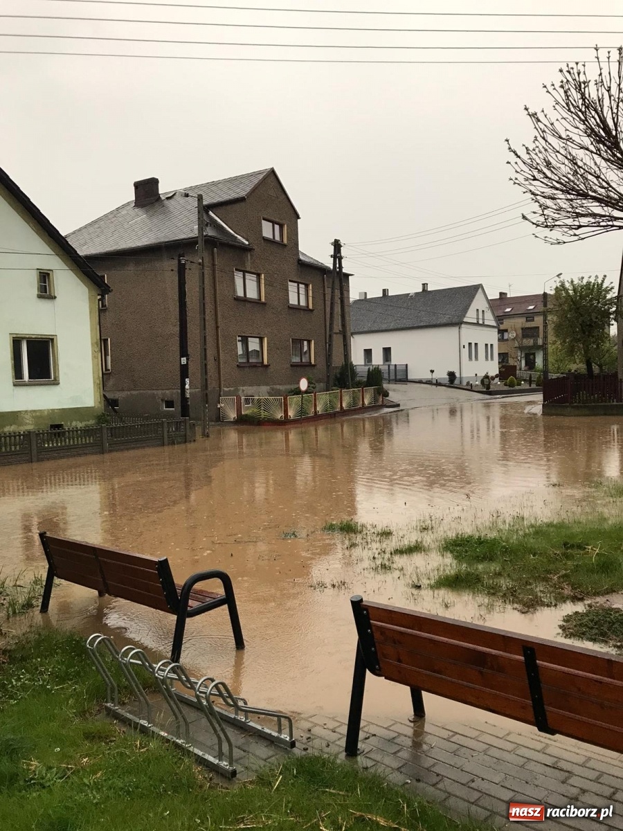 Zdjęcie w galerii na portalu naszraciborz.pl: Tworków-Nowa Wioska-Lubomia-Borucin. Nikt tu takiej wody nie widział! wiadomości z regionu