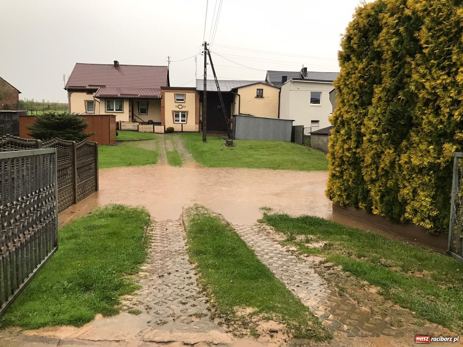 Zdjęcie w galerii na portalu naszraciborz.pl: Tworków-Nowa Wioska-Lubomia-Borucin. Nikt tu takiej wody nie widział! wiadomości z regionu