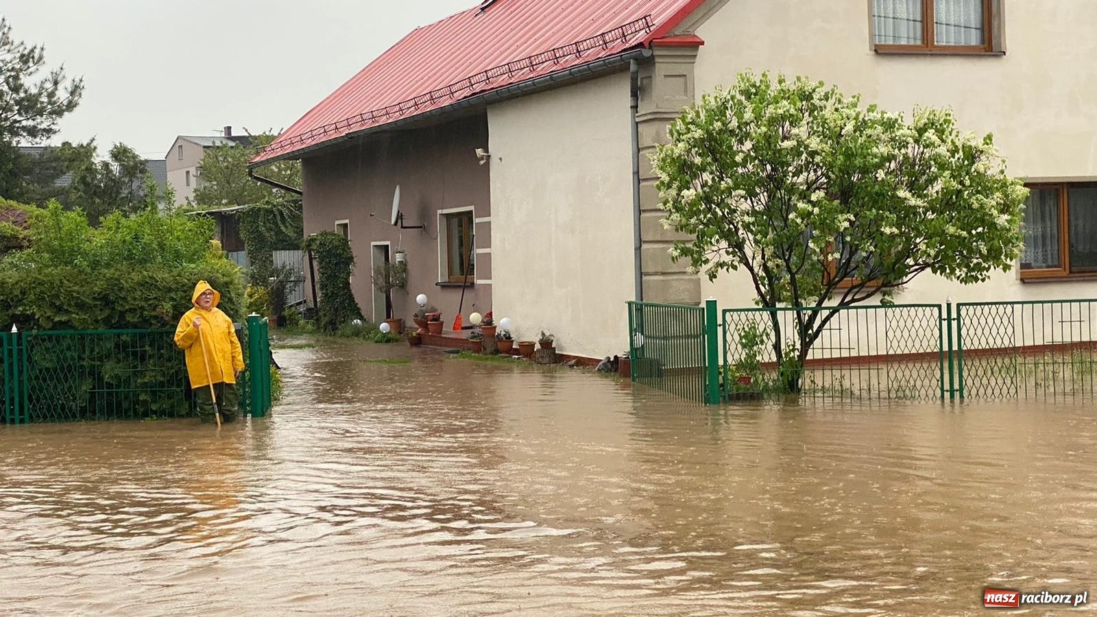 Zdjęcie w galerii na portalu naszraciborz.pl: Tworków-Nowa Wioska-Lubomia-Borucin. Nikt tu takiej wody nie widział! wiadomości z regionu
