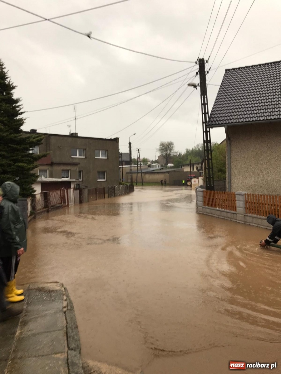 Zdjęcie w galerii na portalu naszraciborz.pl: Tworków-Nowa Wioska-Lubomia-Borucin. Nikt tu takiej wody nie widział! wiadomości z regionu