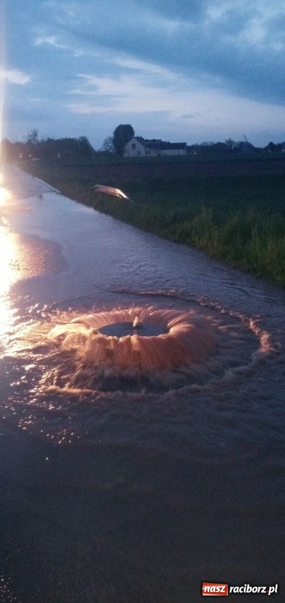 Zdjęcie w galerii na portalu naszraciborz.pl: Szmaty z kanalizacji zapchały pompy na Drzewieckiego wiadomości z regionu