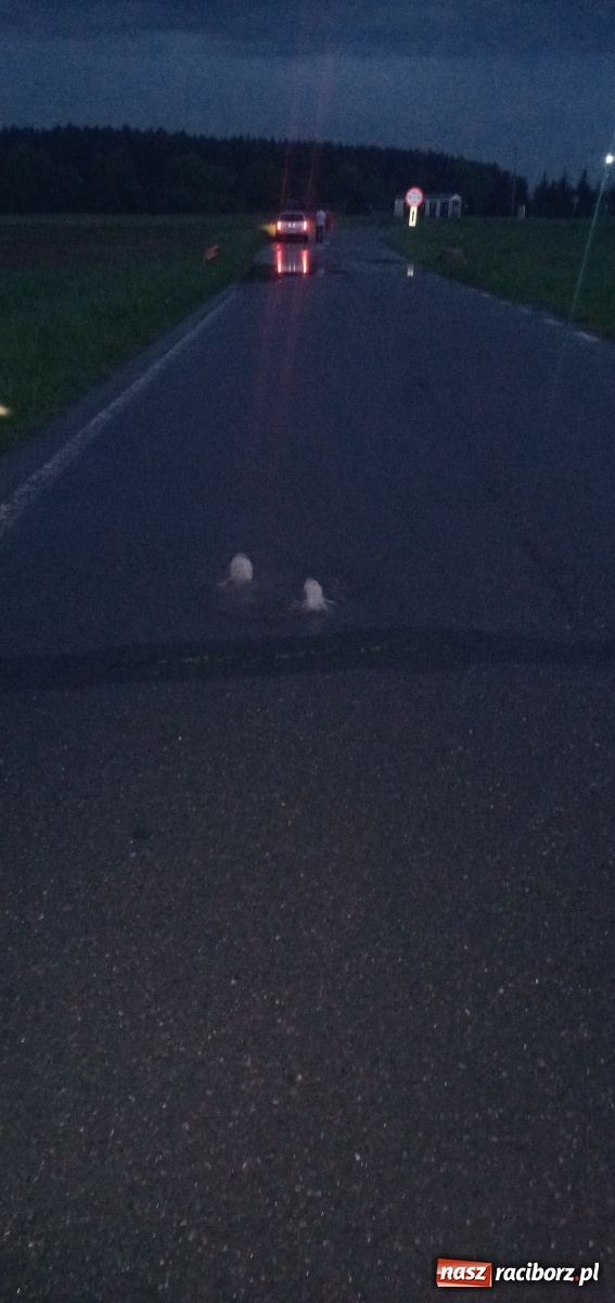 Zdjęcie w galerii na portalu naszraciborz.pl: Szmaty z kanalizacji zapchały pompy na Drzewieckiego wiadomości z regionu