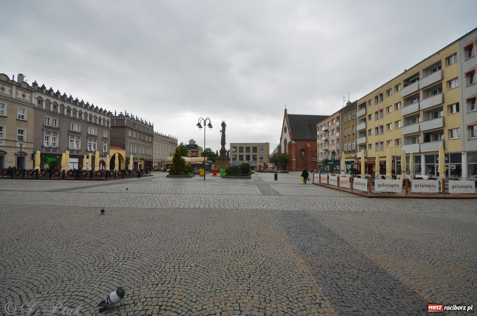 Zdjęcie w galerii na portalu naszraciborz.pl: Luzowanie pod kontrolą. Policja w Raciborzu ostrzega! wiadomości z regionu