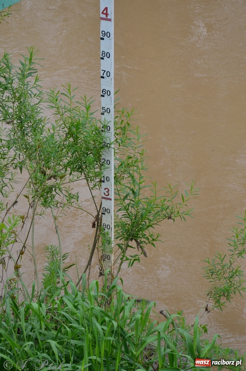 Zdjęcie w galerii na portalu naszraciborz.pl: Odra zamknięta dla żeglugi. Zdjęcia rzeki po nawałnicach wiadomości z regionu