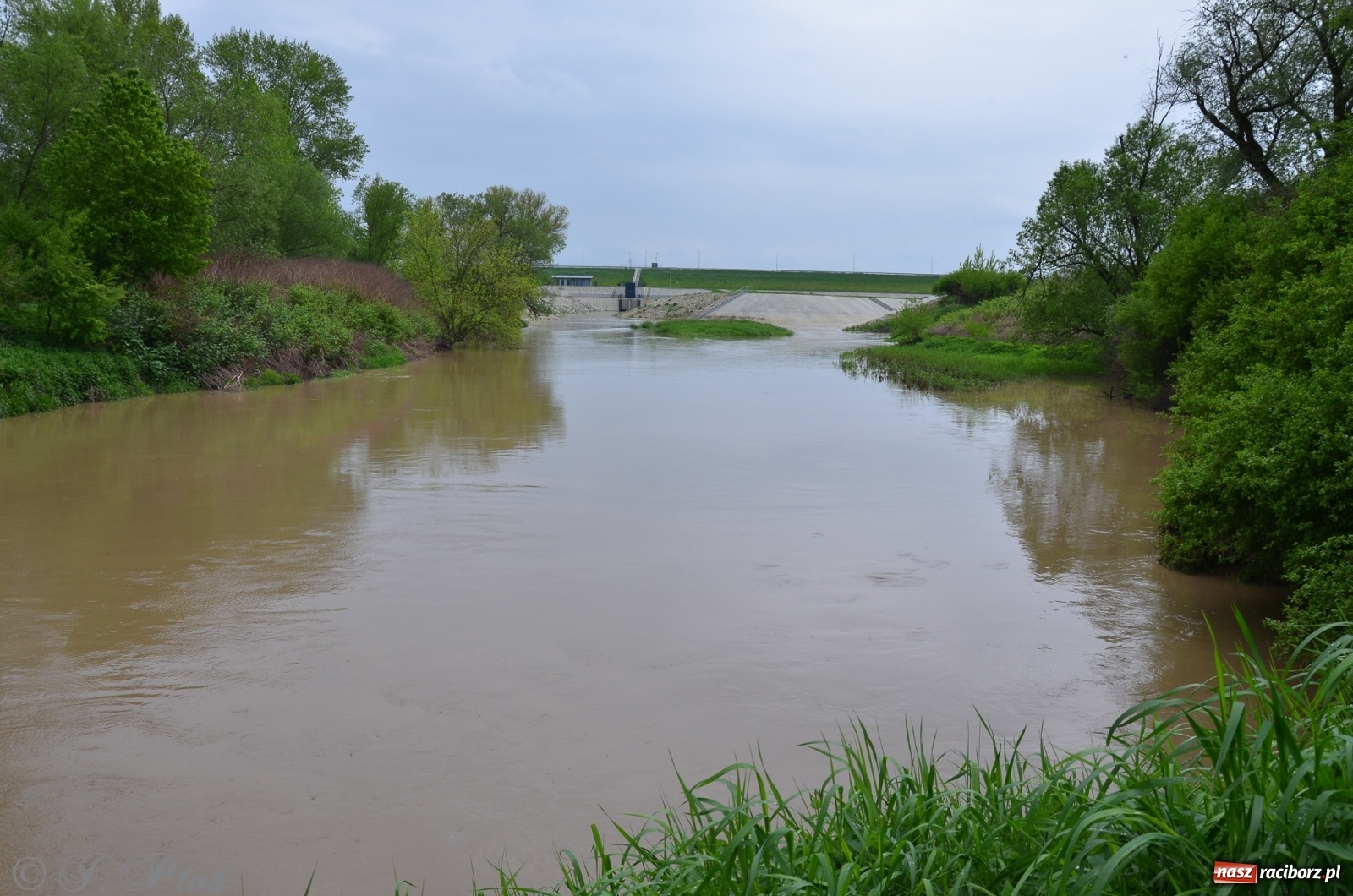 Zdjęcie w galerii na portalu naszraciborz.pl: Odra zamknięta dla żeglugi. Zdjęcia rzeki po nawałnicach wiadomości z regionu
