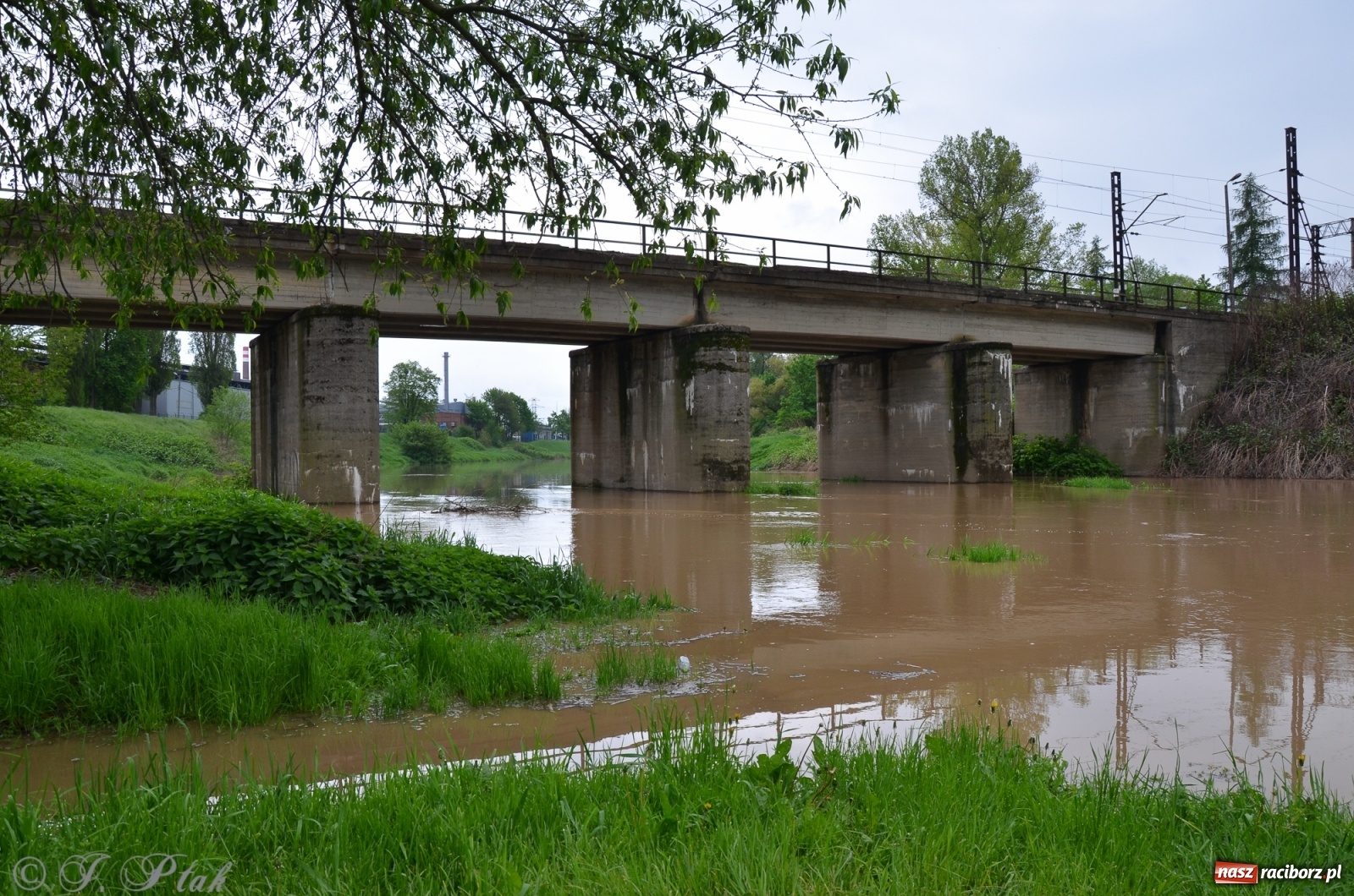 Zdjęcie w galerii na portalu naszraciborz.pl: Odra zamknięta dla żeglugi. Zdjęcia rzeki po nawałnicach wiadomości z regionu