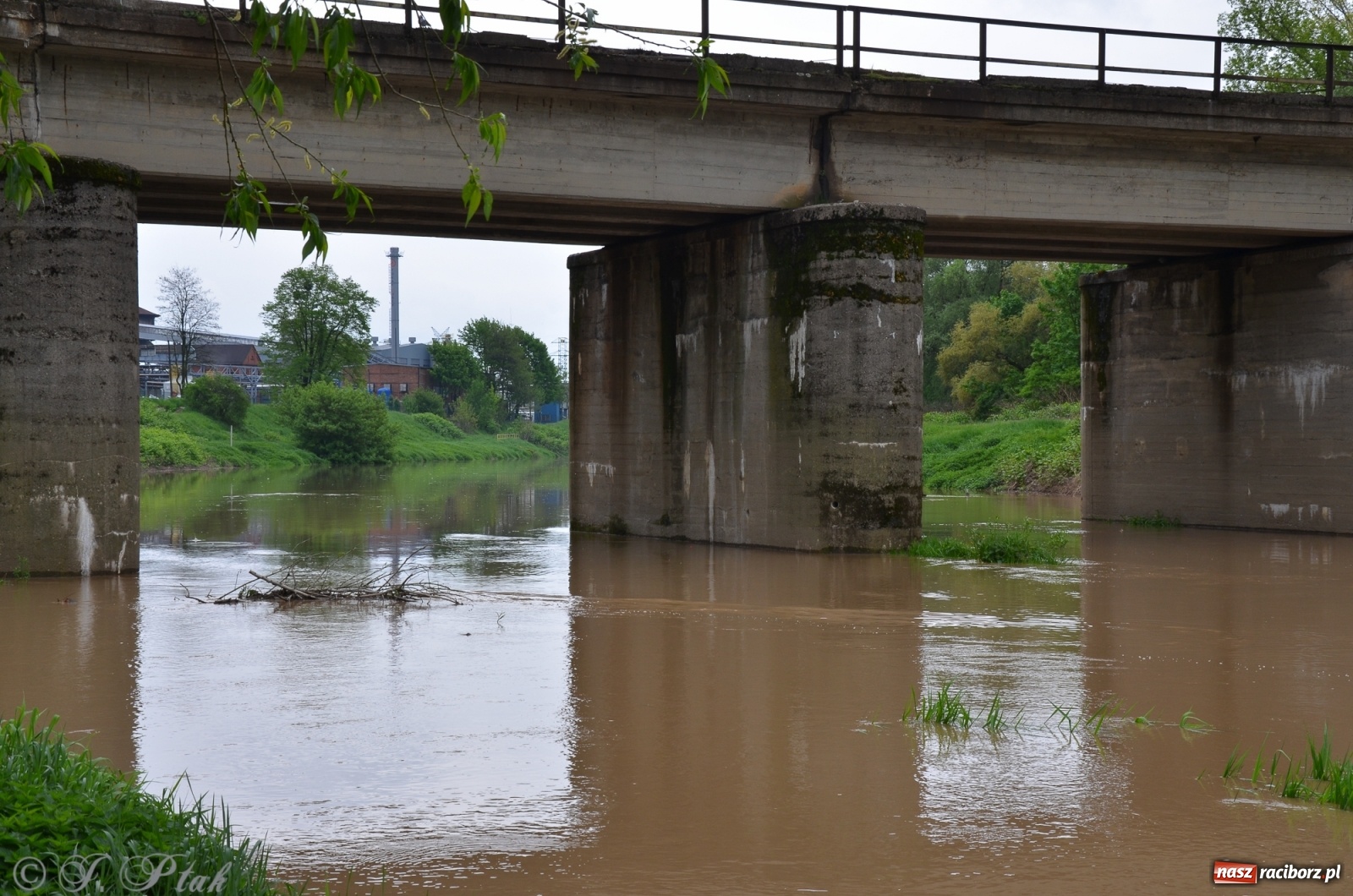 Zdjęcie w galerii na portalu naszraciborz.pl: Odra zamknięta dla żeglugi. Zdjęcia rzeki po nawałnicach wiadomości z regionu