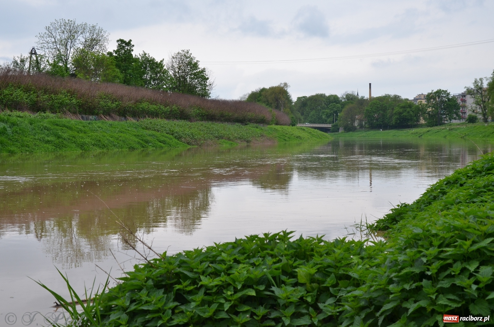 Zdjęcie w galerii na portalu naszraciborz.pl: Odra zamknięta dla żeglugi. Zdjęcia rzeki po nawałnicach wiadomości z regionu