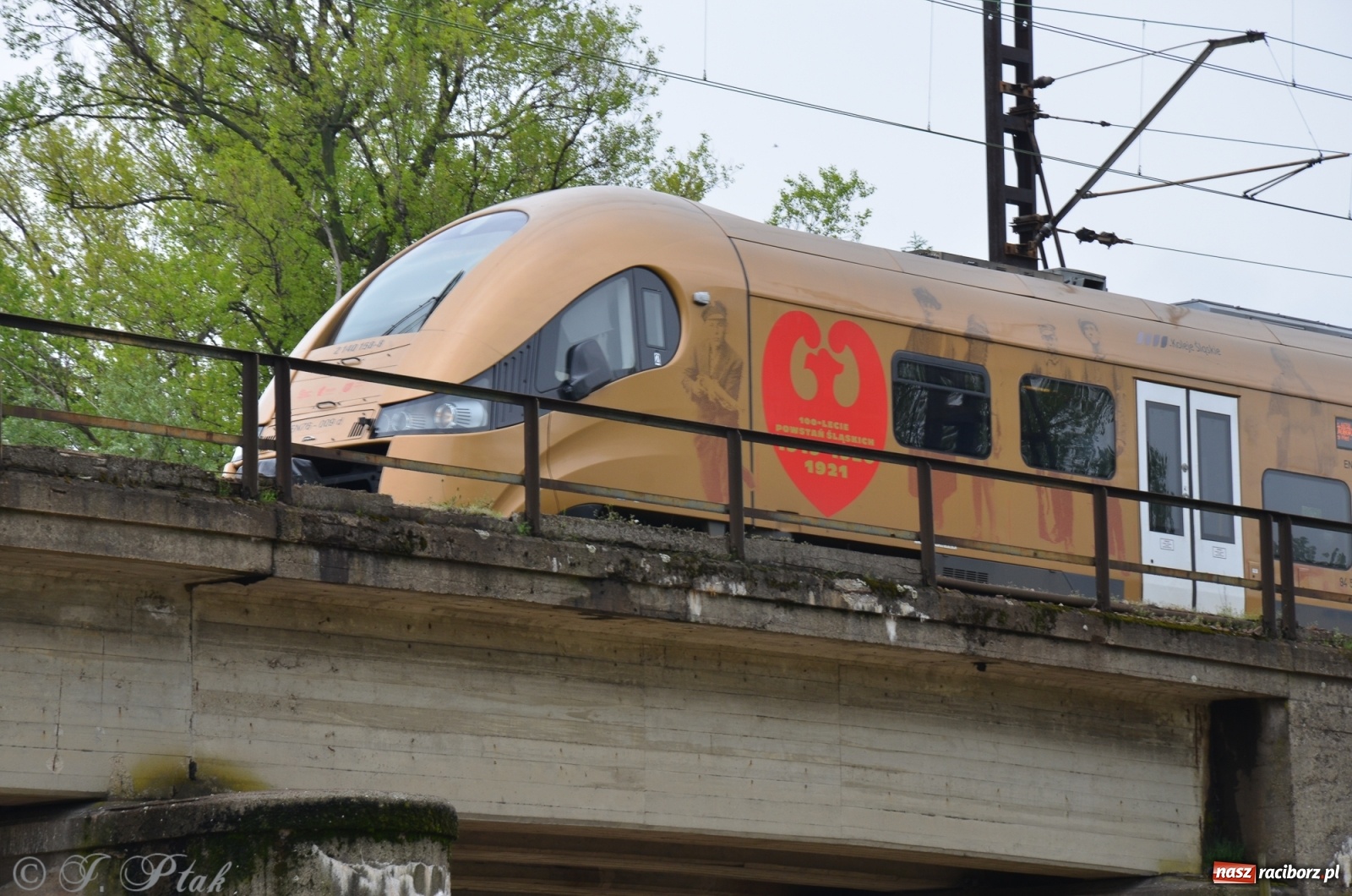 Zdjęcie w galerii na portalu naszraciborz.pl: Odra zamknięta dla żeglugi. Zdjęcia rzeki po nawałnicach wiadomości z regionu