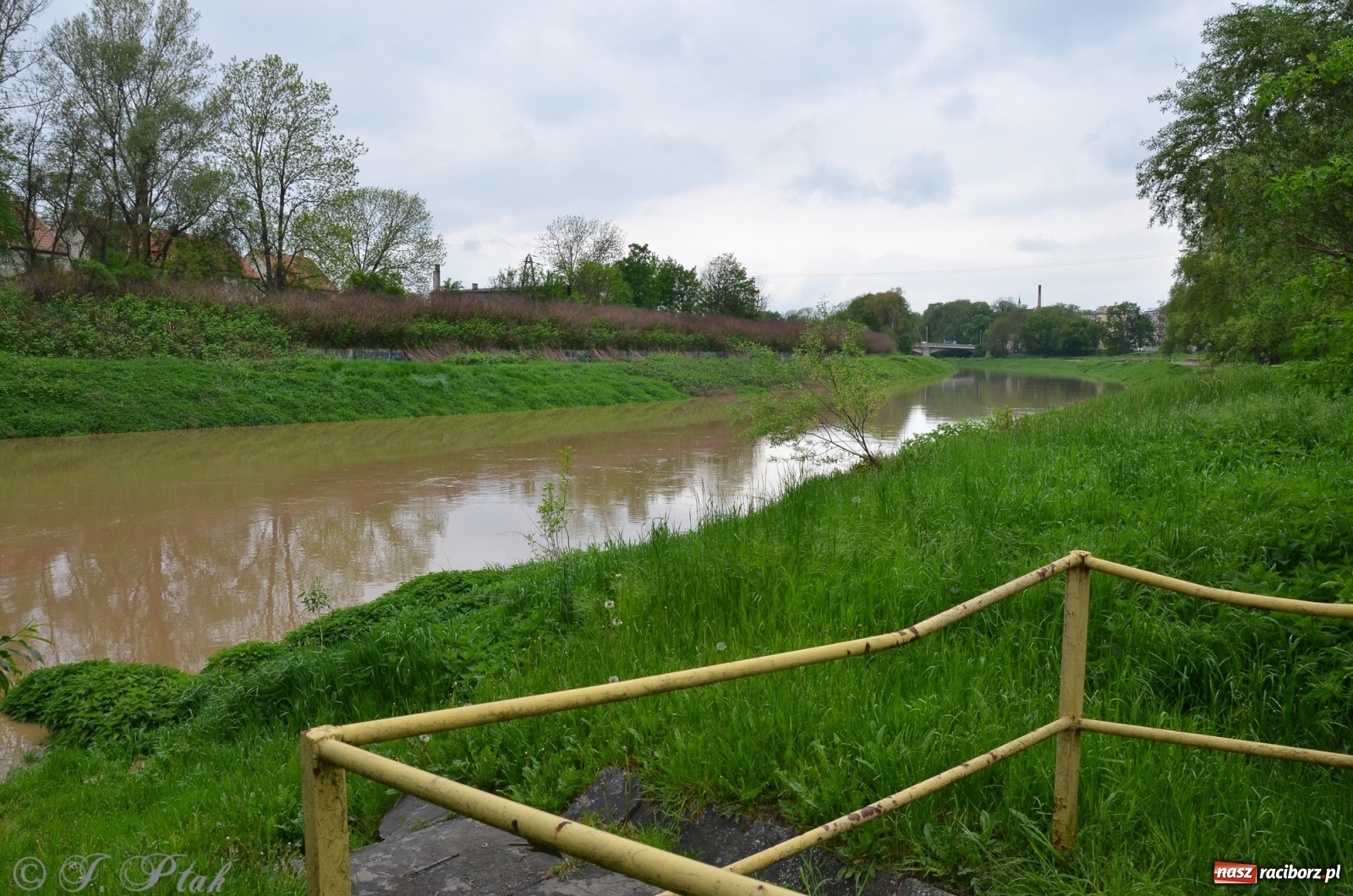 Zdjęcie w galerii na portalu naszraciborz.pl: Odra zamknięta dla żeglugi. Zdjęcia rzeki po nawałnicach wiadomości z regionu