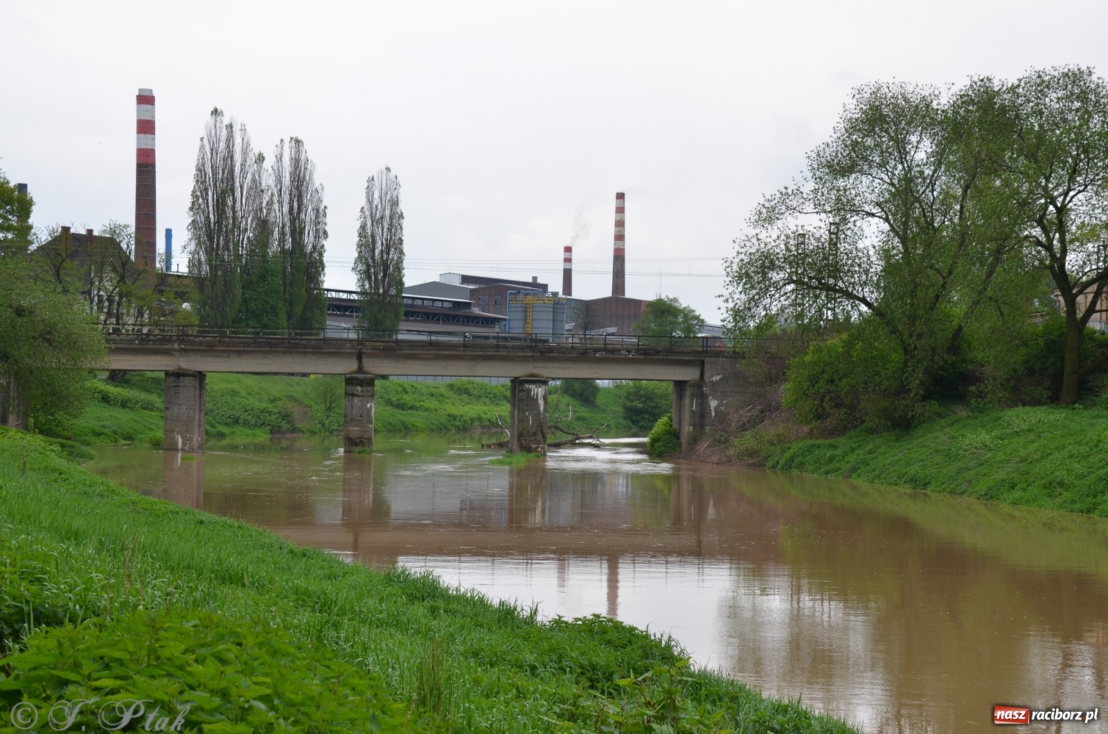 Zdjęcie w galerii na portalu naszraciborz.pl: Odra zamknięta dla żeglugi. Zdjęcia rzeki po nawałnicach wiadomości z regionu
