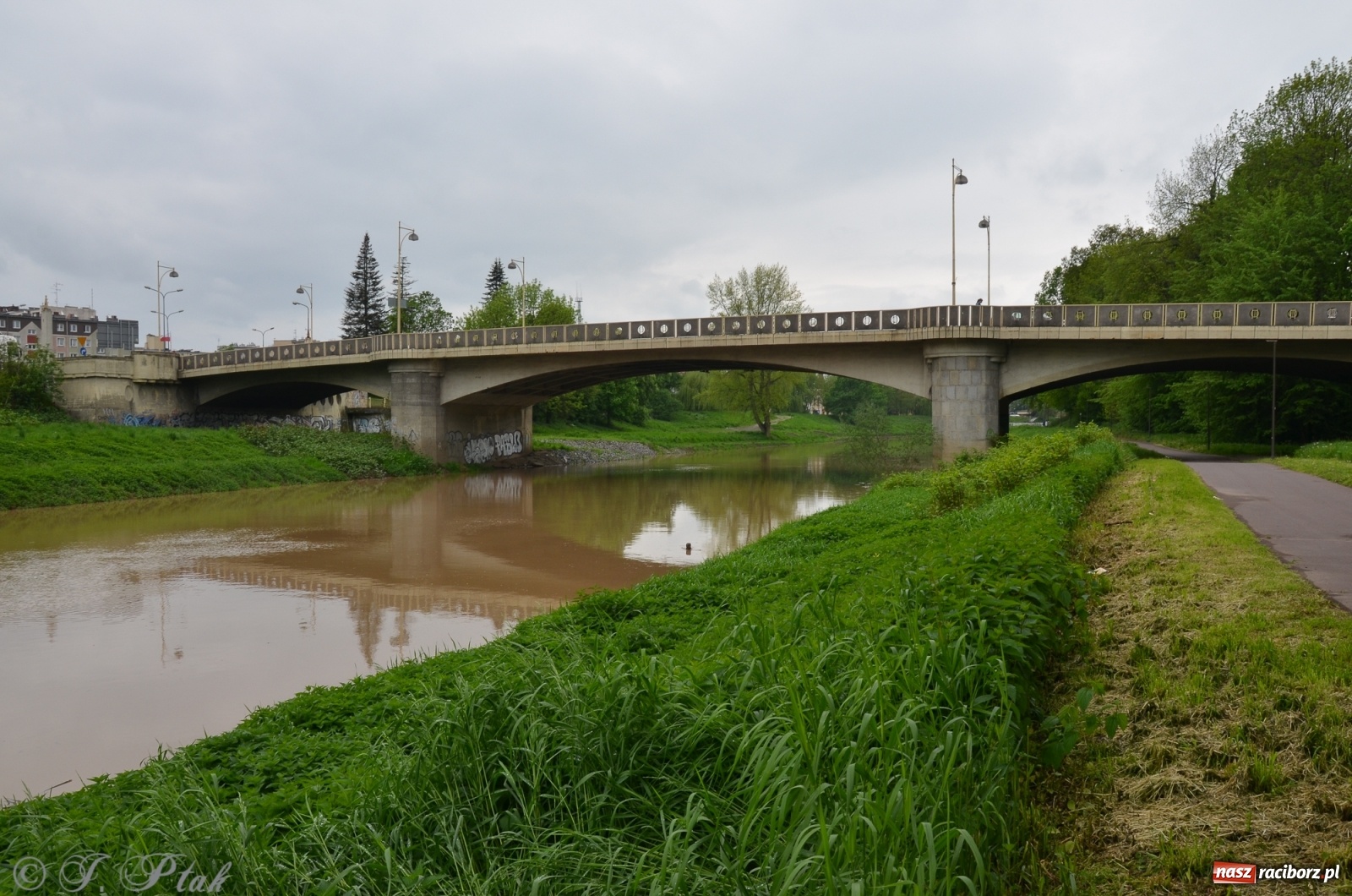 Zdjęcie w galerii na portalu naszraciborz.pl: Odra zamknięta dla żeglugi. Zdjęcia rzeki po nawałnicach wiadomości z regionu