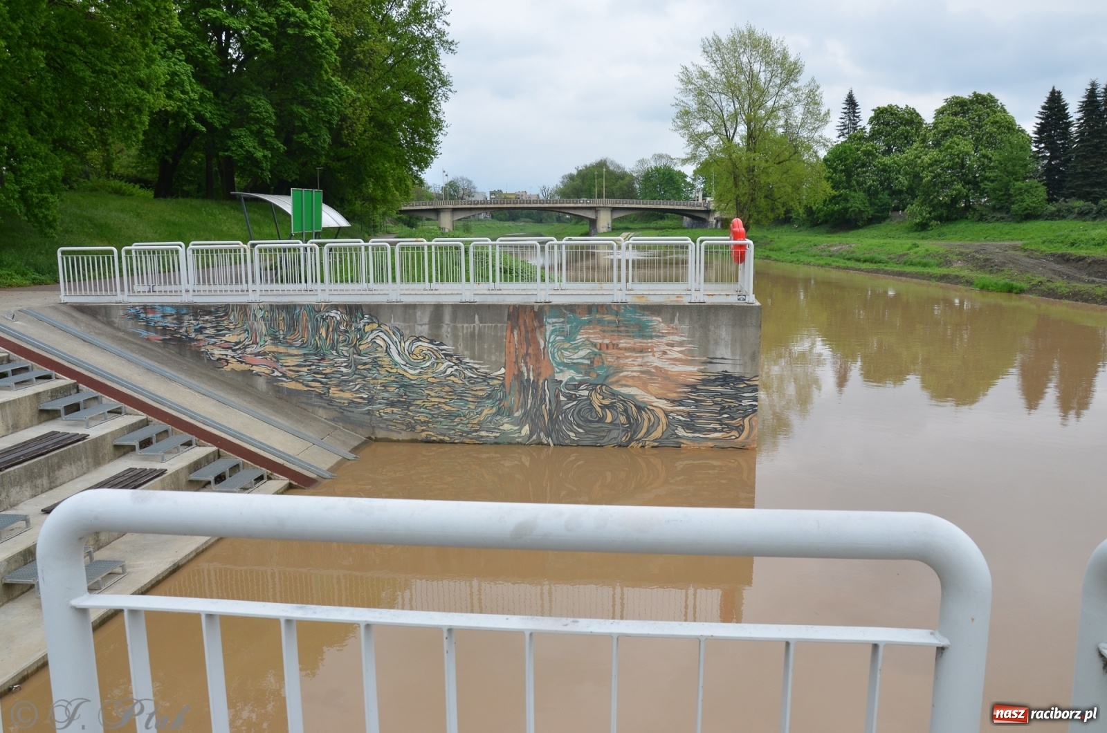 Zdjęcie w galerii na portalu naszraciborz.pl: Odra zamknięta dla żeglugi. Zdjęcia rzeki po nawałnicach wiadomości z regionu