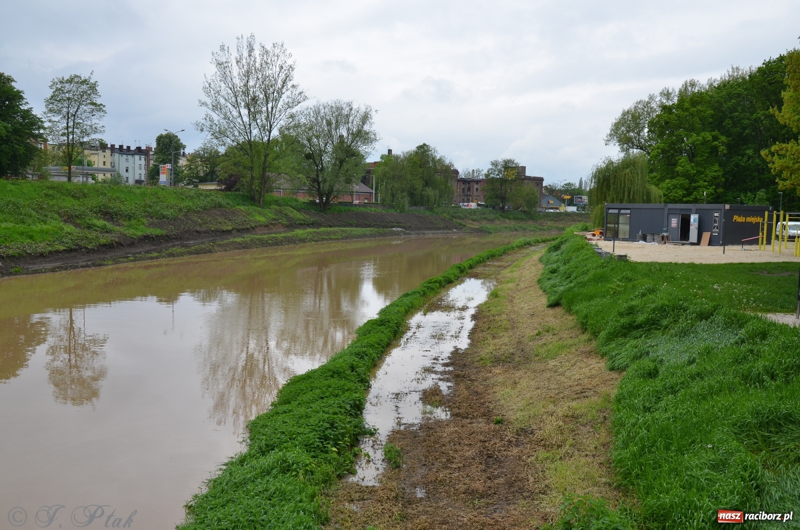 Zdjęcie w galerii na portalu naszraciborz.pl: Odra zamknięta dla żeglugi. Zdjęcia rzeki po nawałnicach wiadomości z regionu