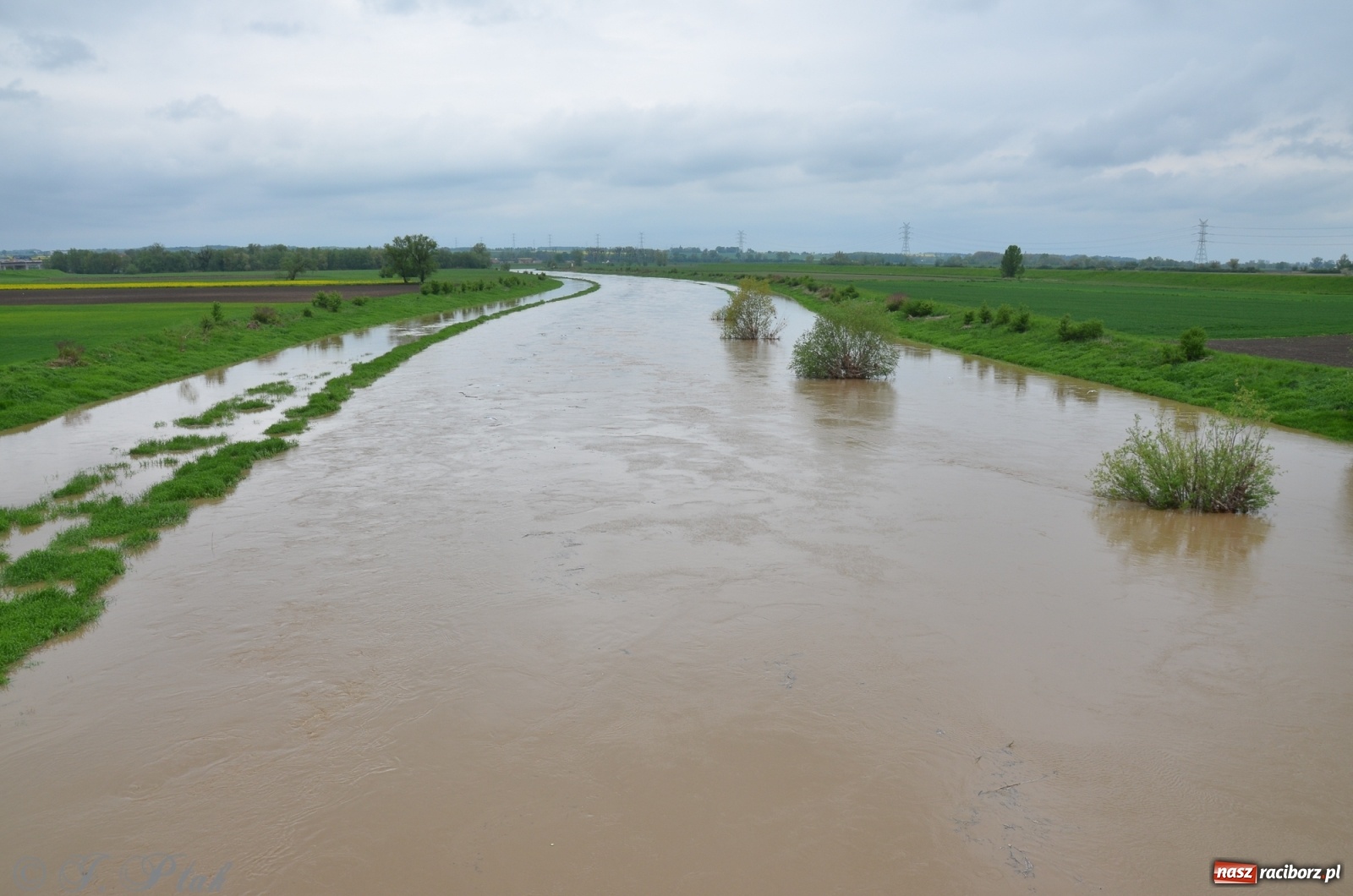 Zdjęcie w galerii na portalu naszraciborz.pl: Odra zamknięta dla żeglugi. Zdjęcia rzeki po nawałnicach wiadomości z regionu