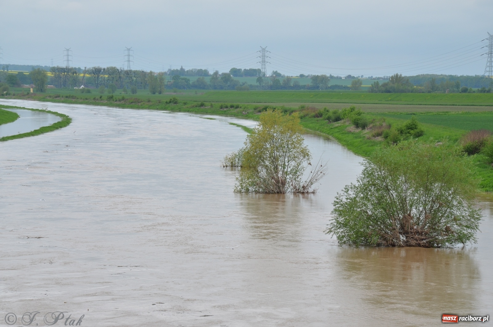 Zdjęcie w galerii na portalu naszraciborz.pl: Odra zamknięta dla żeglugi. Zdjęcia rzeki po nawałnicach wiadomości z regionu