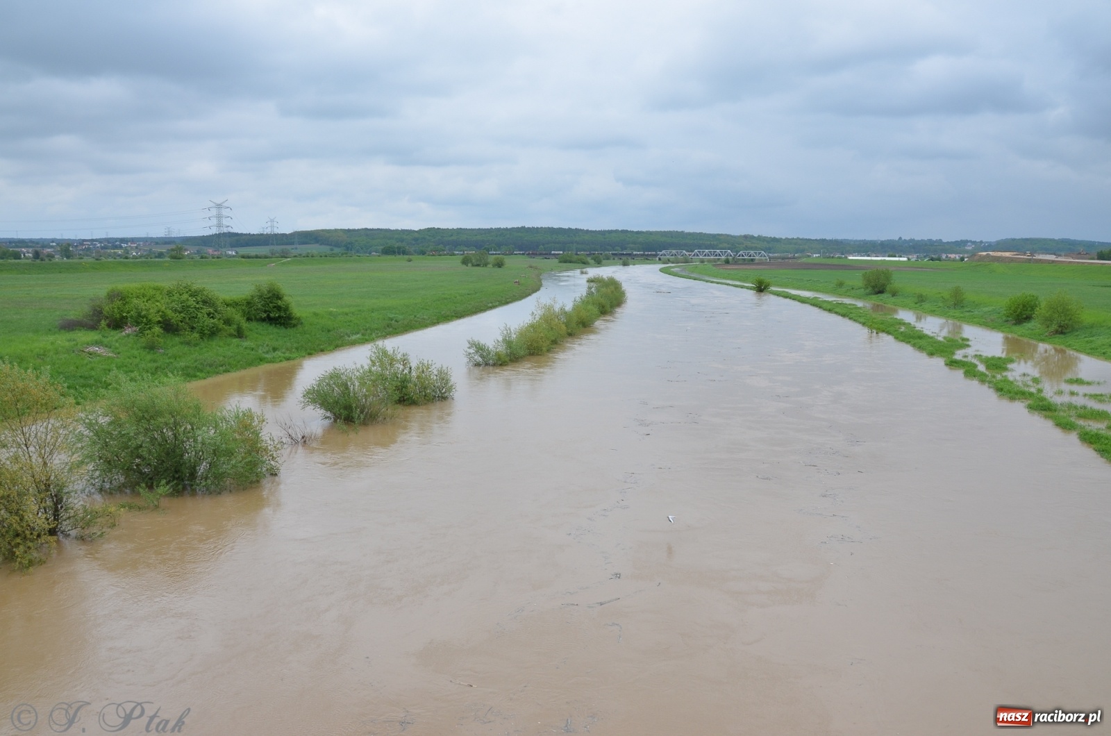 Zdjęcie w galerii na portalu naszraciborz.pl: Odra zamknięta dla żeglugi. Zdjęcia rzeki po nawałnicach wiadomości z regionu