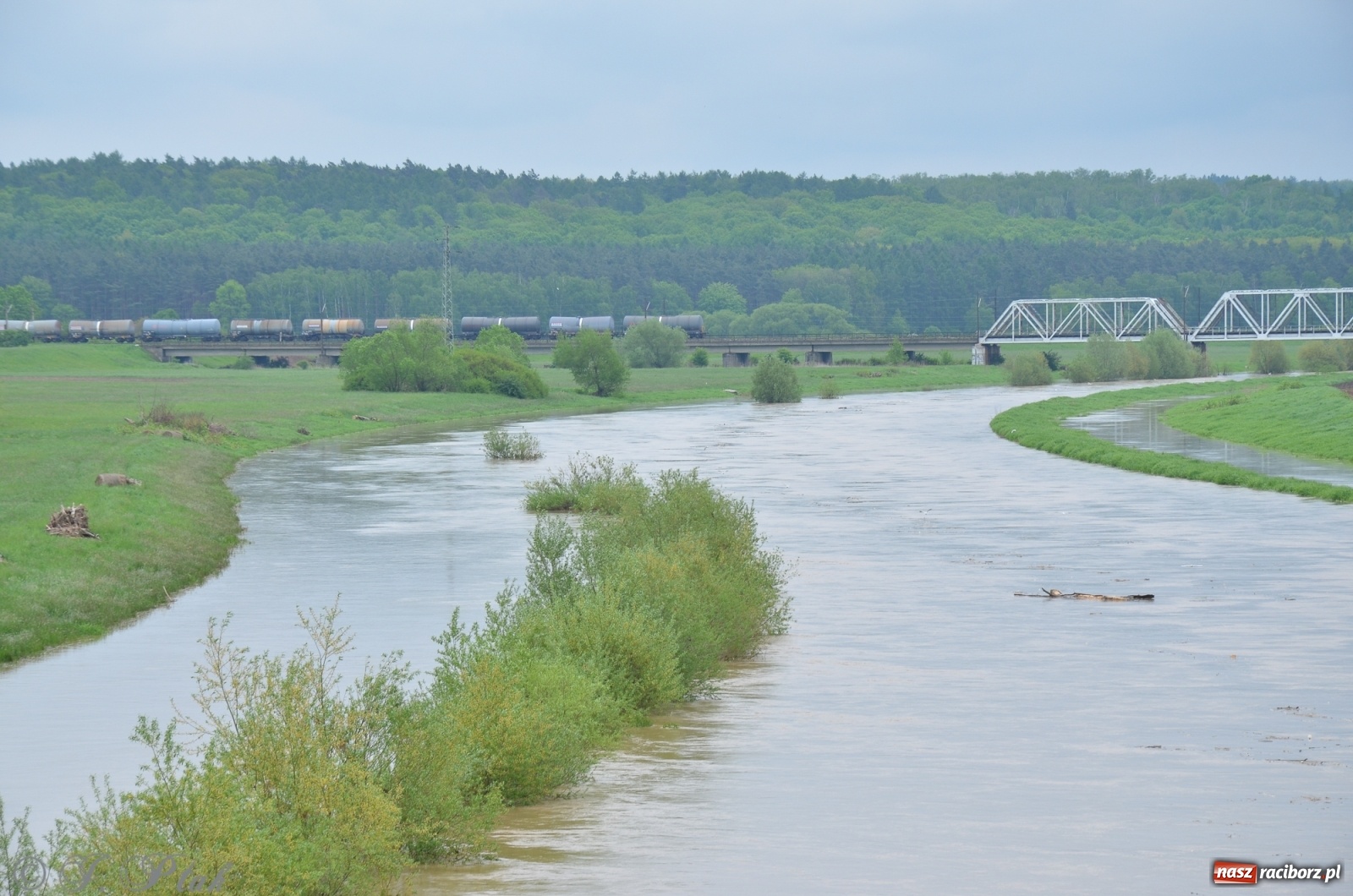 Zdjęcie w galerii na portalu naszraciborz.pl: Odra zamknięta dla żeglugi. Zdjęcia rzeki po nawałnicach wiadomości z regionu