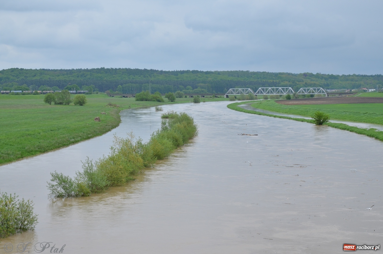 Zdjęcie w galerii na portalu naszraciborz.pl: Odra zamknięta dla żeglugi. Zdjęcia rzeki po nawałnicach wiadomości z regionu