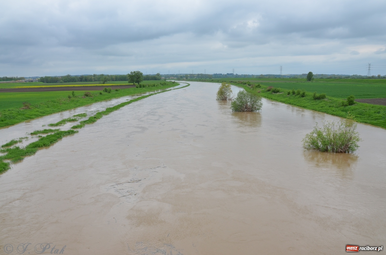 Zdjęcie w galerii na portalu naszraciborz.pl: Odra zamknięta dla żeglugi. Zdjęcia rzeki po nawałnicach wiadomości z regionu
