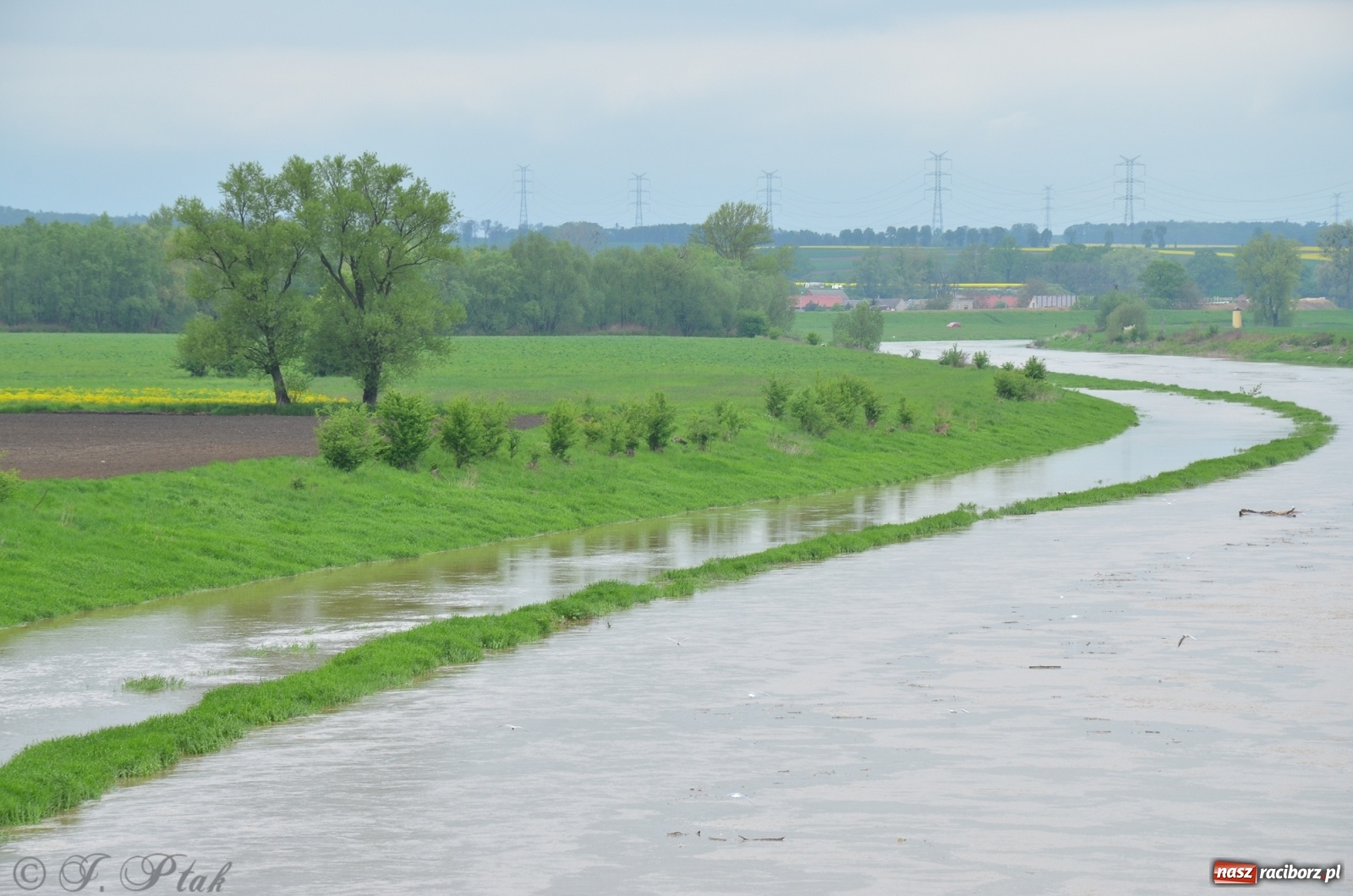 Zdjęcie w galerii na portalu naszraciborz.pl: Odra zamknięta dla żeglugi. Zdjęcia rzeki po nawałnicach wiadomości z regionu