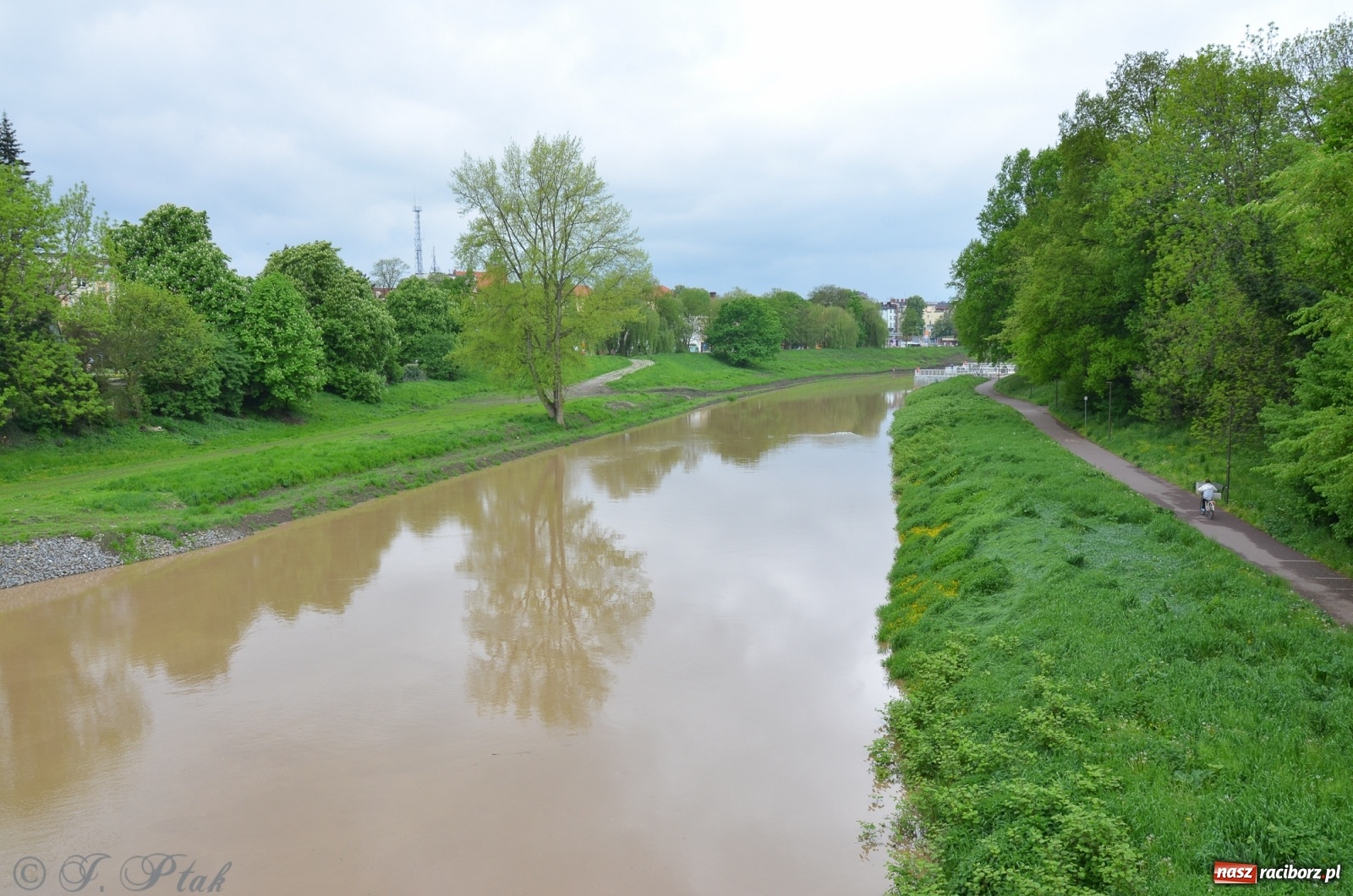 Zdjęcie w galerii na portalu naszraciborz.pl: Odra zamknięta dla żeglugi. Zdjęcia rzeki po nawałnicach wiadomości z regionu