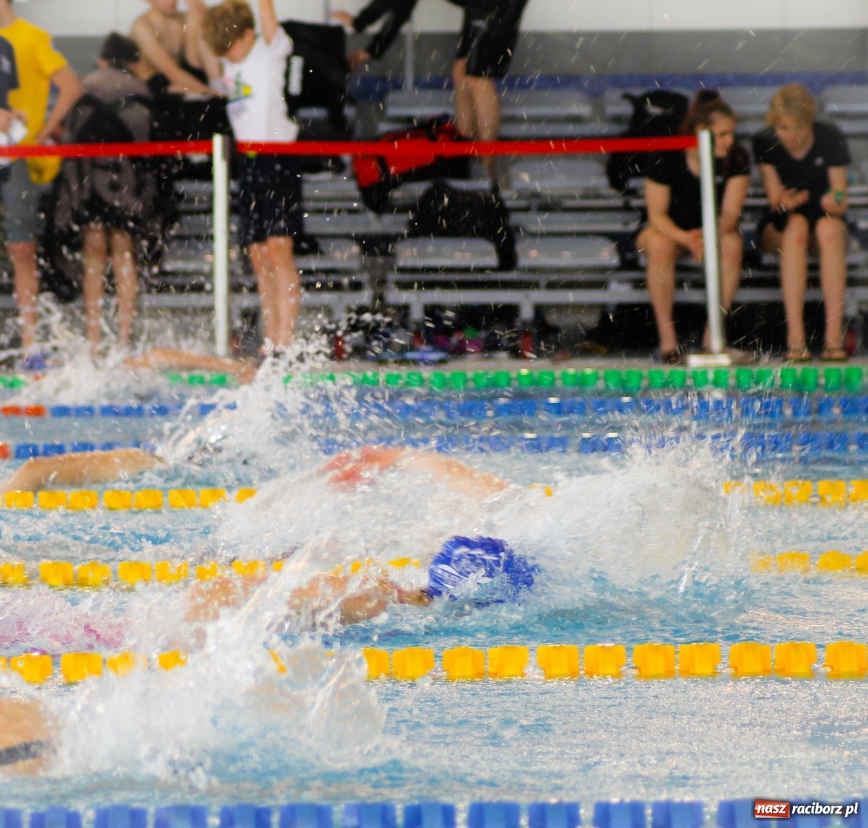 Zdjęcie w galerii na portalu naszraciborz.pl: H2Ostróg znów tętni życiem. Zjechali tu pływacy z całej Polski wiadomości z regionu