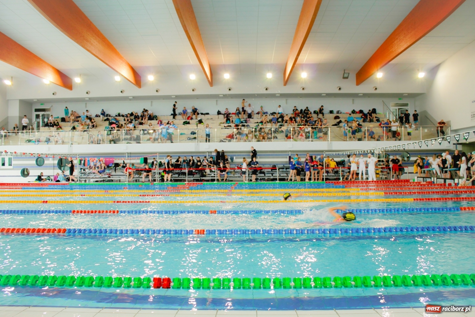 Zdjęcie w galerii na portalu naszraciborz.pl: H2Ostróg znów tętni życiem. Zjechali tu pływacy z całej Polski wiadomości z regionu