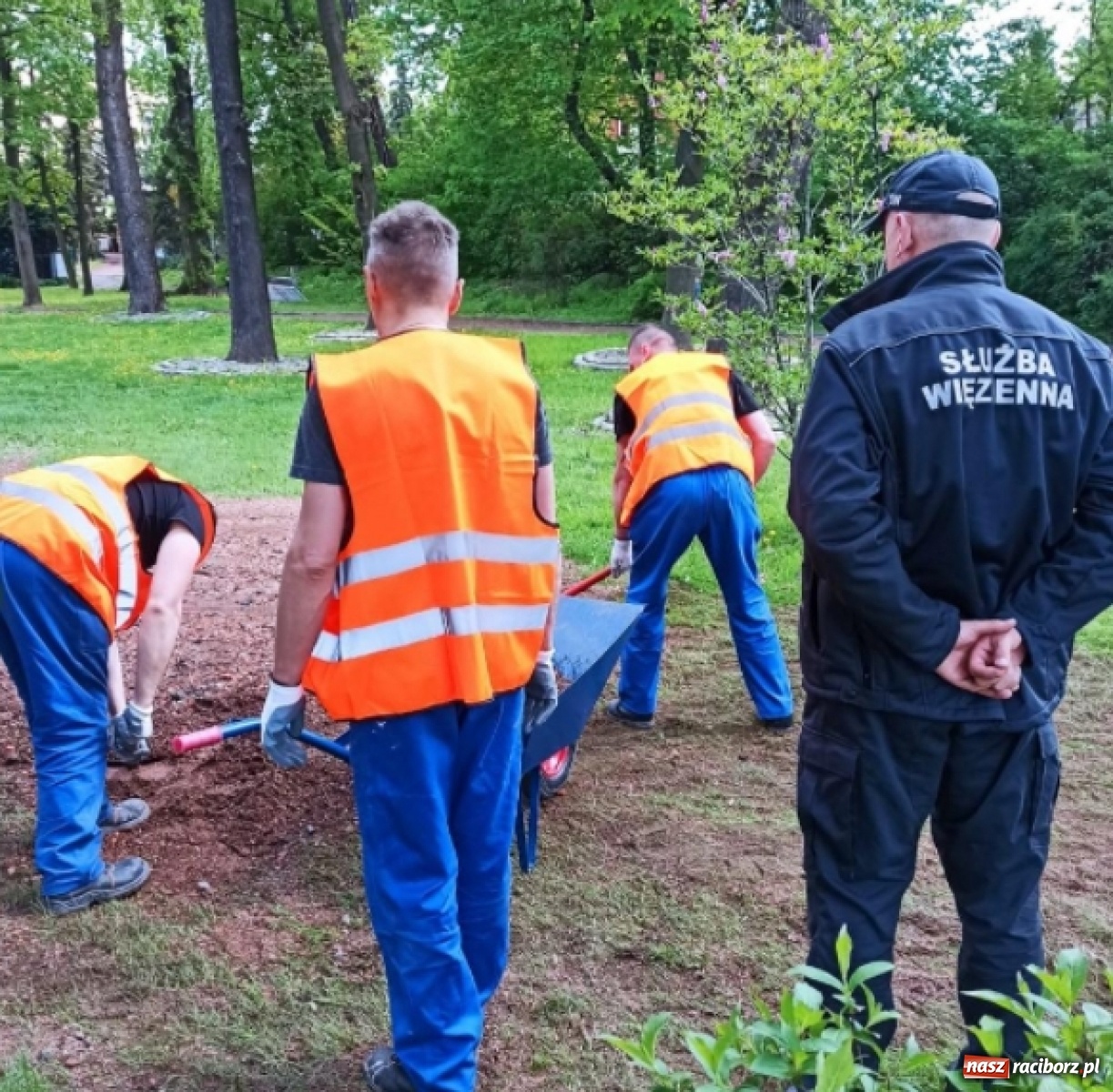 Zdjęcie w galerii na portalu naszraciborz.pl: Więźniowie z ZK Racibórz skierowani do usuwania skutków podtopień wiadomości z regionu