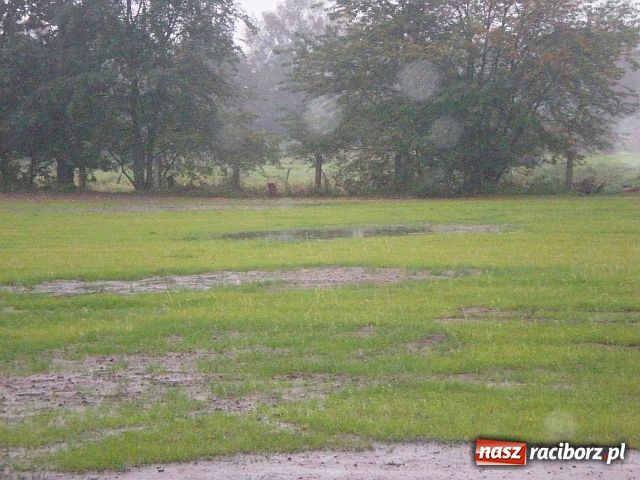 Zdjęcie w galerii na portalu naszraciborz.pl: Boisko w Rudzie w końcu równe? wiadomości z regionu