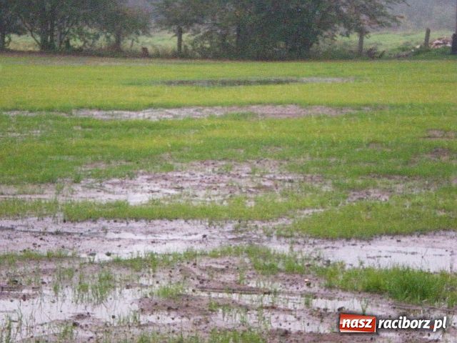 Zdjęcie w galerii na portalu naszraciborz.pl: Boisko w Rudzie w końcu równe? wiadomości z regionu