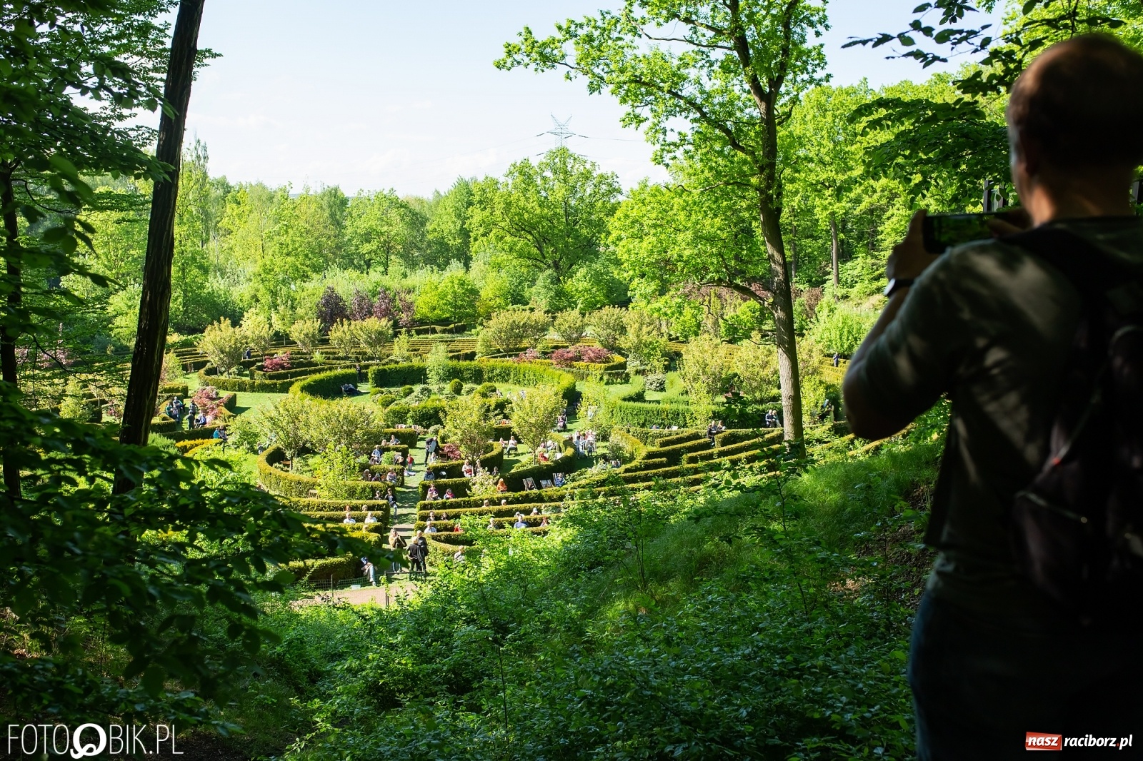Zdjęcie w galerii na portalu naszraciborz.pl: Słońce, przyroda i melomani, czyli Muzyka w Zaczarowanym Ogrodzie [WIDEO] wiadomości z regionu