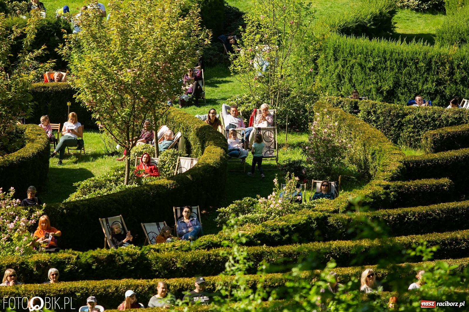 Zdjęcie w galerii na portalu naszraciborz.pl: Słońce, przyroda i melomani, czyli Muzyka w Zaczarowanym Ogrodzie [WIDEO] wiadomości z regionu