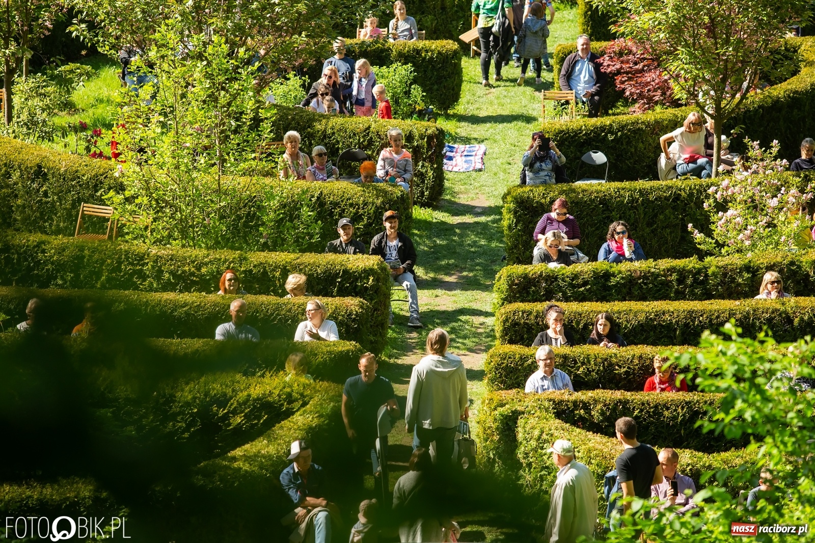Zdjęcie w galerii na portalu naszraciborz.pl: Słońce, przyroda i melomani, czyli Muzyka w Zaczarowanym Ogrodzie [WIDEO] wiadomości z regionu
