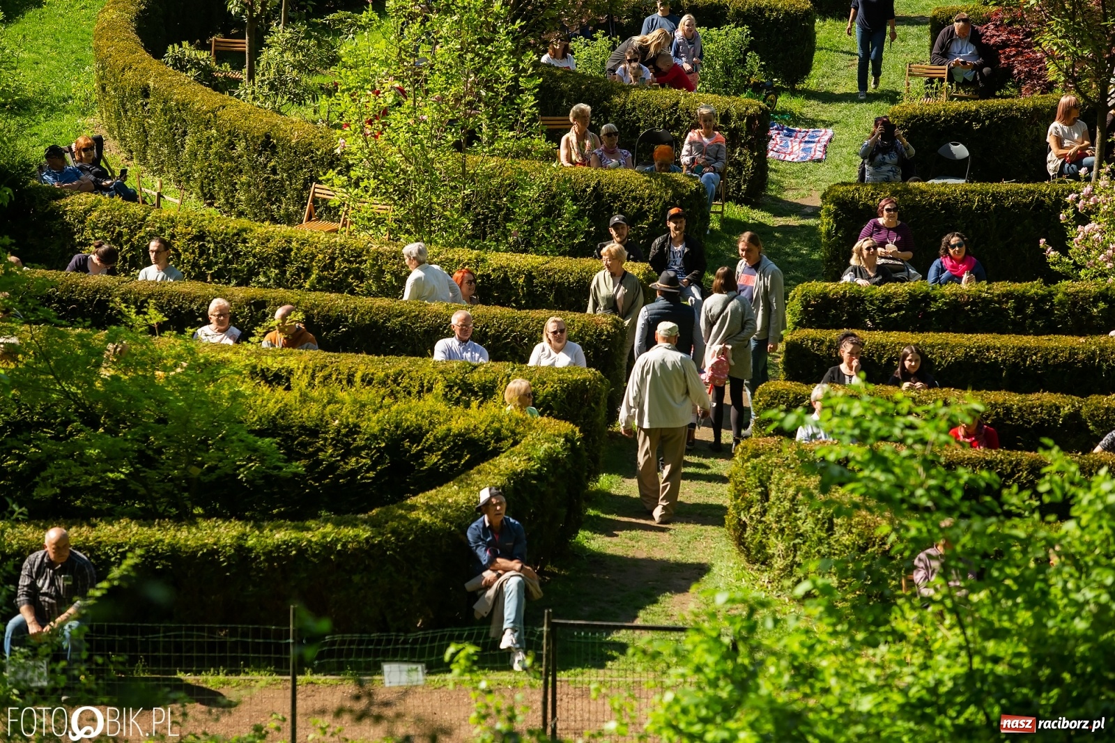 Zdjęcie w galerii na portalu naszraciborz.pl: Słońce, przyroda i melomani, czyli Muzyka w Zaczarowanym Ogrodzie [WIDEO] wiadomości z regionu