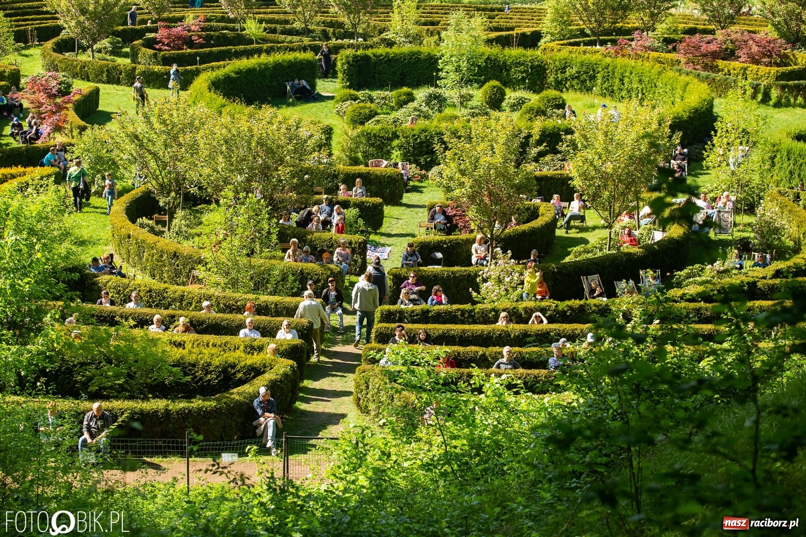 Zdjęcie w galerii na portalu naszraciborz.pl: Słońce, przyroda i melomani, czyli Muzyka w Zaczarowanym Ogrodzie [WIDEO] wiadomości z regionu
