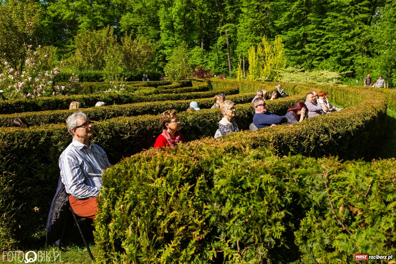Zdjęcie w galerii na portalu naszraciborz.pl: Słońce, przyroda i melomani, czyli Muzyka w Zaczarowanym Ogrodzie [WIDEO] wiadomości z regionu