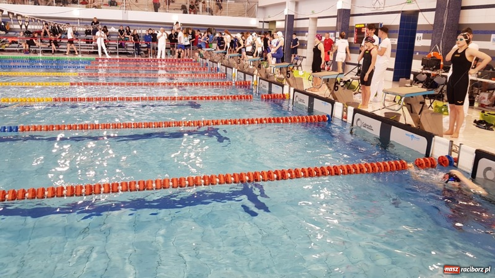 Zdjęcie w galerii na portalu naszraciborz.pl: Udane starty pływaków z SP 8 [FOTO] wiadomości z regionu