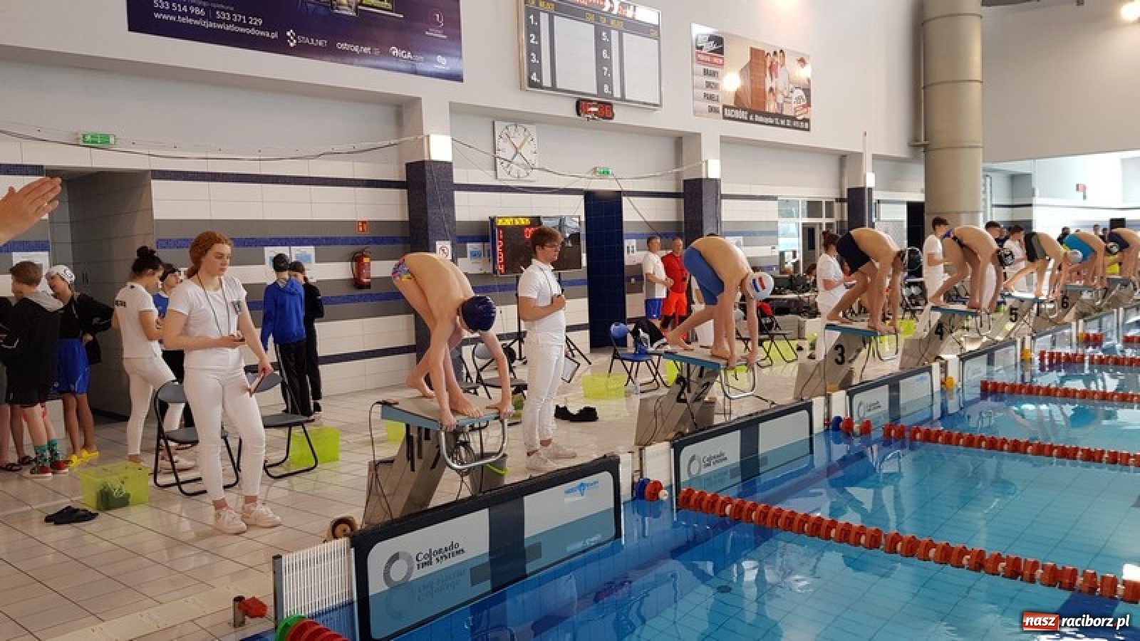 Zdjęcie w galerii na portalu naszraciborz.pl: Udane starty pływaków z SP 8 [FOTO] wiadomości z regionu