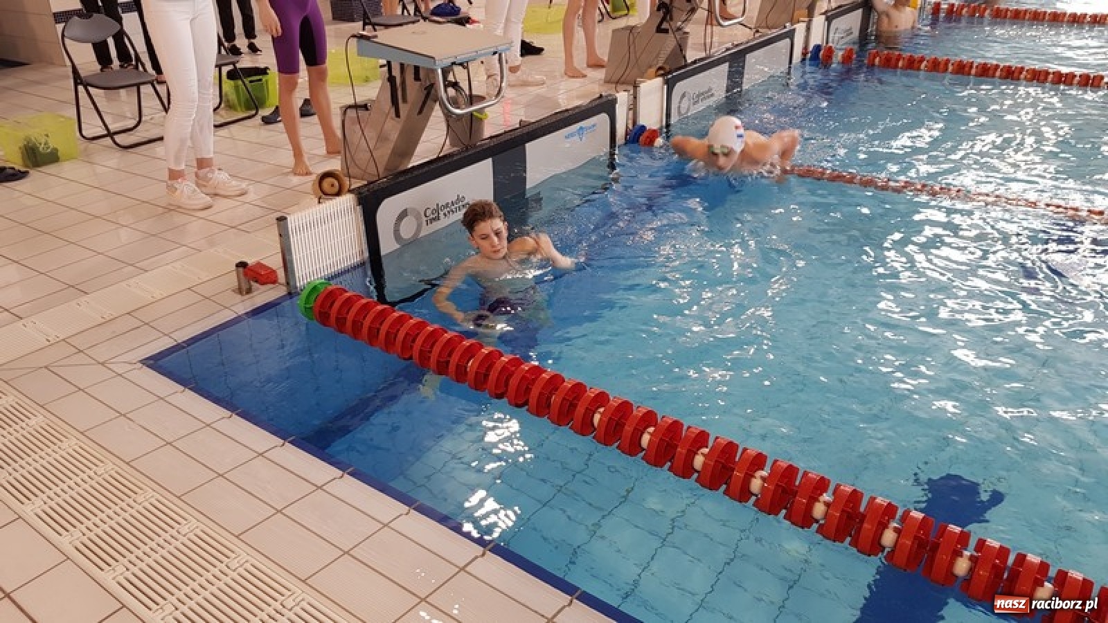 Zdjęcie w galerii na portalu naszraciborz.pl: Udane starty pływaków z SP 8 [FOTO] wiadomości z regionu