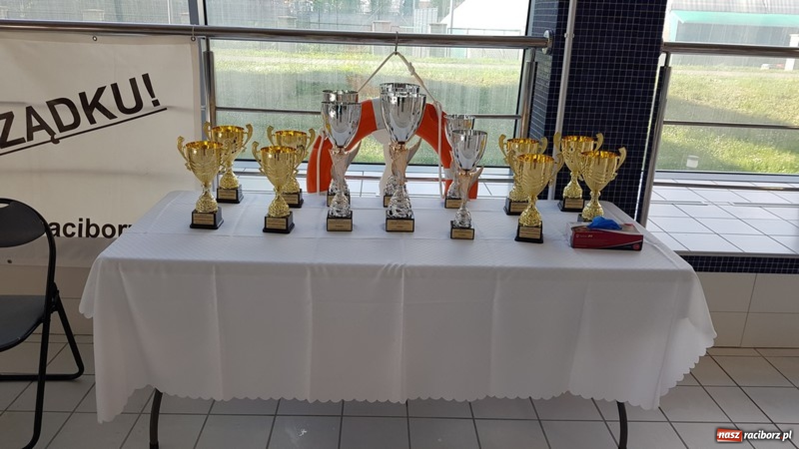 Zdjęcie w galerii na portalu naszraciborz.pl: Udane starty pływaków z SP 8 [FOTO] wiadomości z regionu