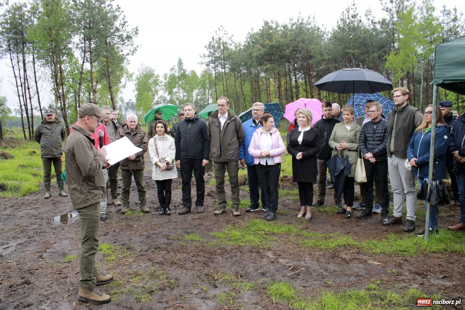 Zdjęcie w galerii na portalu naszraciborz.pl: Dąb Papieski ku pamięci, drzewa dla kolejnych pokoleń wiadomości z regionu