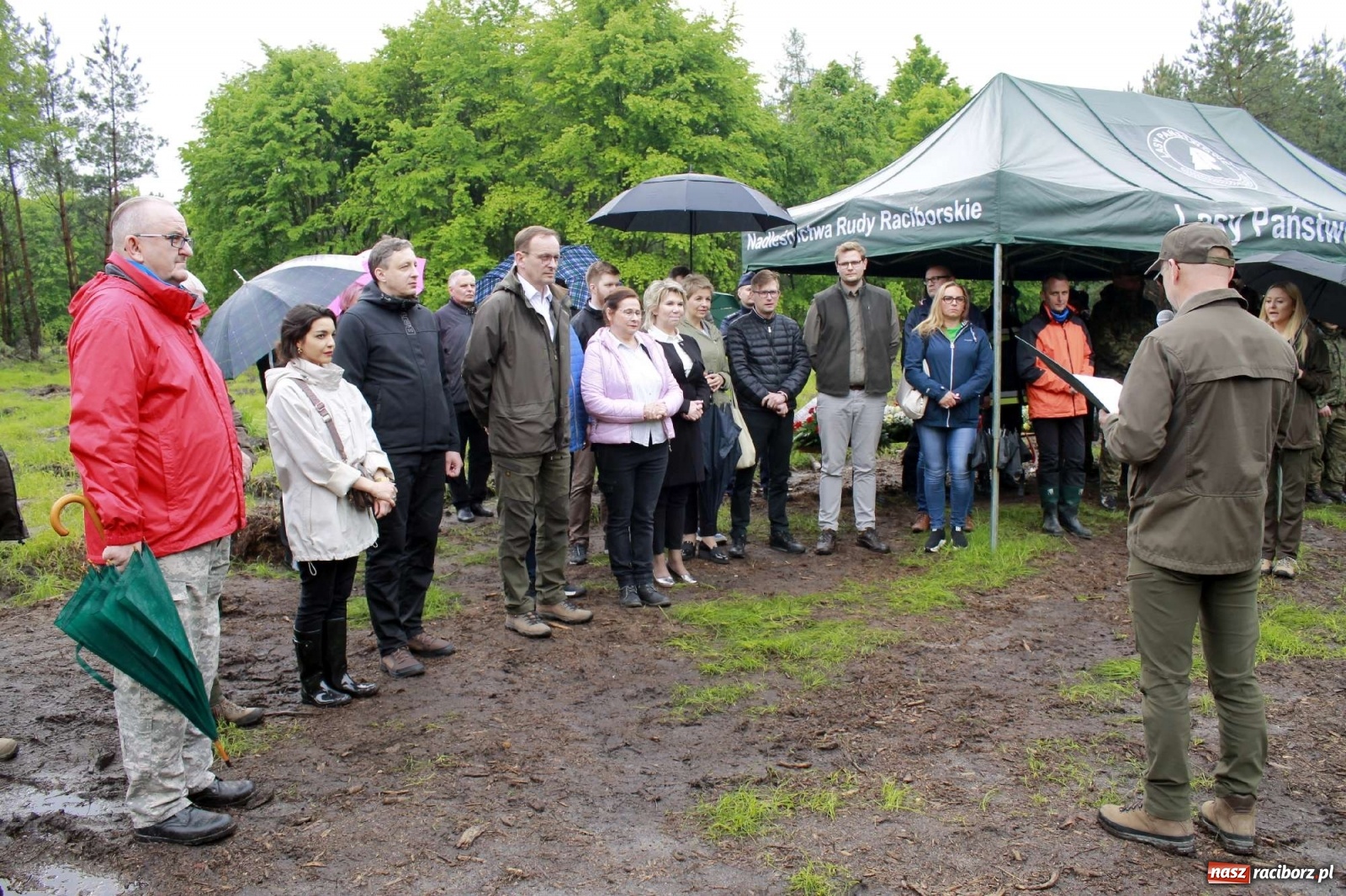 Zdjęcie w galerii na portalu naszraciborz.pl: Dąb Papieski ku pamięci, drzewa dla kolejnych pokoleń wiadomości z regionu