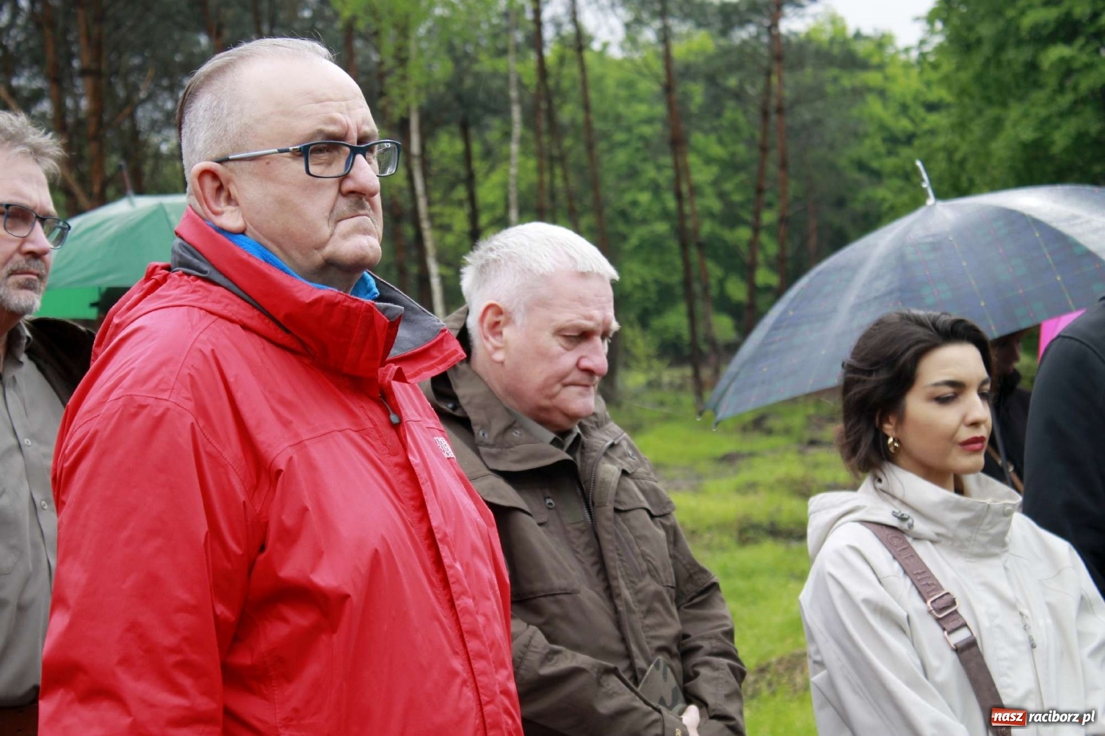 Zdjęcie w galerii na portalu naszraciborz.pl: Dąb Papieski ku pamięci, drzewa dla kolejnych pokoleń wiadomości z regionu