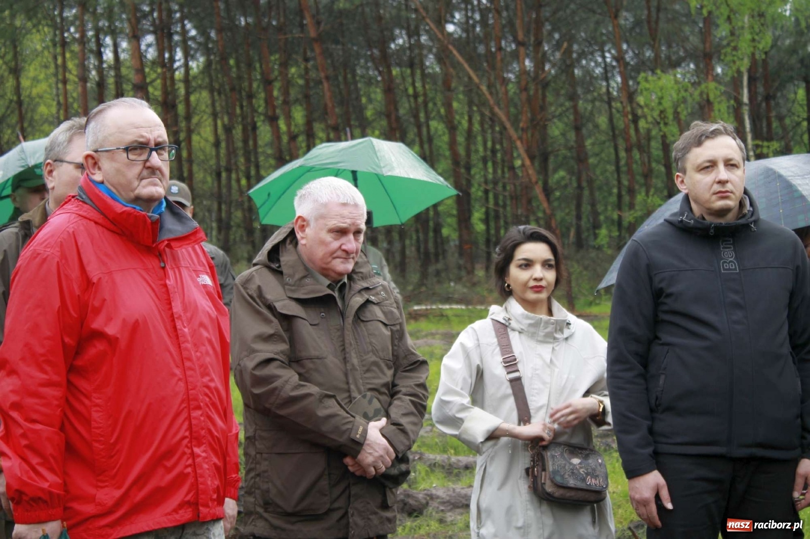 Zdjęcie w galerii na portalu naszraciborz.pl: Dąb Papieski ku pamięci, drzewa dla kolejnych pokoleń wiadomości z regionu