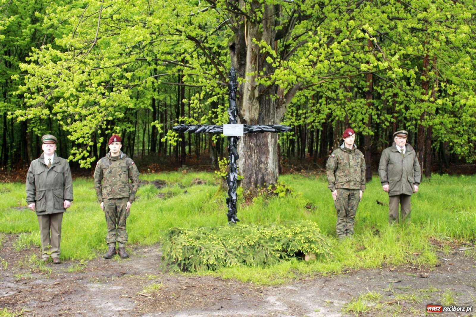 Zdjęcie w galerii na portalu naszraciborz.pl: Dąb Papieski ku pamięci, drzewa dla kolejnych pokoleń wiadomości z regionu