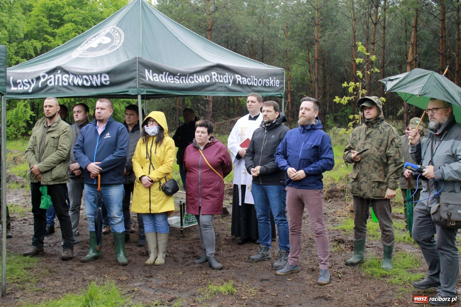 Zdjęcie w galerii na portalu naszraciborz.pl: Dąb Papieski ku pamięci, drzewa dla kolejnych pokoleń wiadomości z regionu