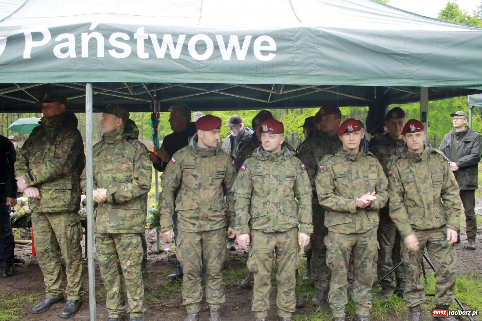 Zdjęcie w galerii na portalu naszraciborz.pl: Dąb Papieski ku pamięci, drzewa dla kolejnych pokoleń wiadomości z regionu